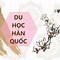 Các Trường Đại Học Công Lập Ở Hàn Quốc