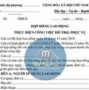 Công Ty Vi Phạm Hợp Đồng Lao Động